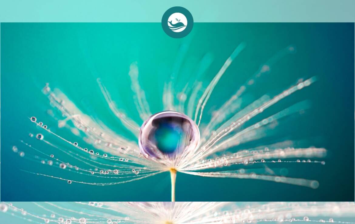 Kriya Yoga