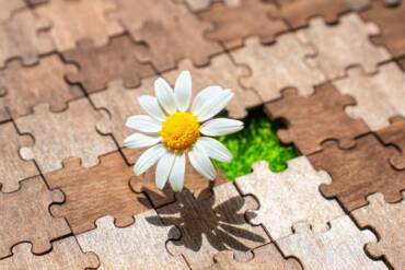 Când piesele de puzzle reîntregesc imaginea …